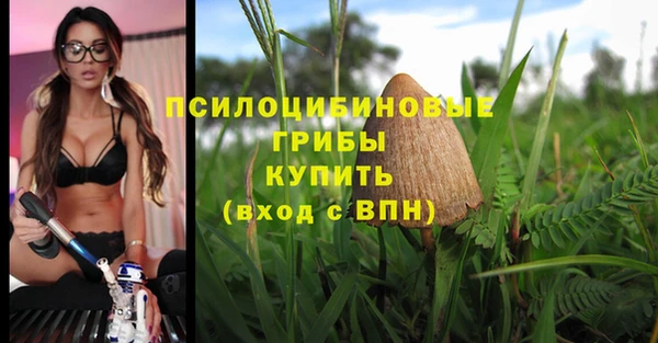 спиды Надым