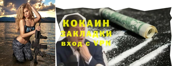 стафф Арсеньев