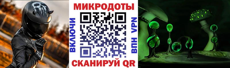 omg как зайти  Чернушка  Галлюциногенные грибы Psilocybe  где купить  