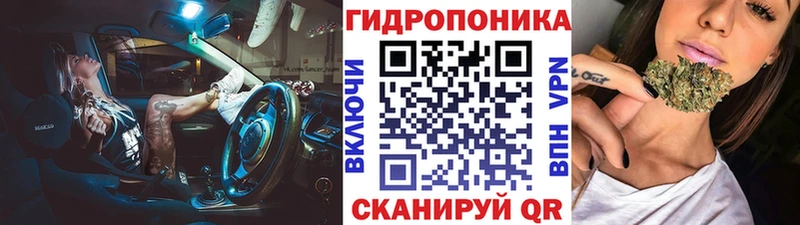 Канабис семена  Чернушка 